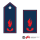 Set Schulterklappe mit Druckknopf + Überziehschlaufen Gemeinde Kinder-/Jugendfeuerwehrwart*in